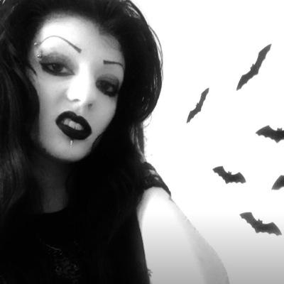 Bats! Bats everywhere! Everyday is halloween!