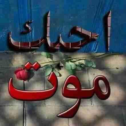 ‏مواطن سعودي محب للشيخ زايد رحمه الله وأسكنه الفردوس الأعلى من الجنة