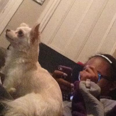 AbbeIsabella's profile picture. 