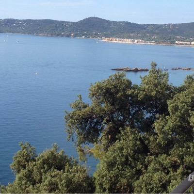 pmk25's profile picture. 