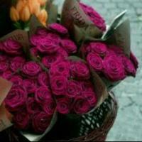 بيدو (@d4b6fac0b5dd485) 's Twitter Profile