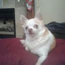 Amy Allen -Settle - @AMASINMO - Twitter