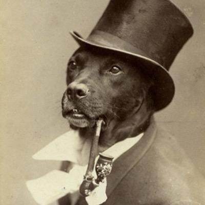 glare_high's profile picture. 