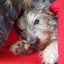 Mark Reichert - @MarkReichert - Twitter