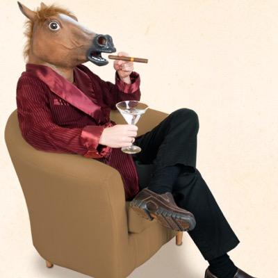 dedicated to the daily stuggles of an equestrian