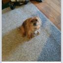 Jess Ayers - @ayersjessielynn - Twitter