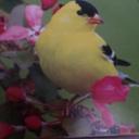 iluminada torres - @iluminadatorres - Twitter