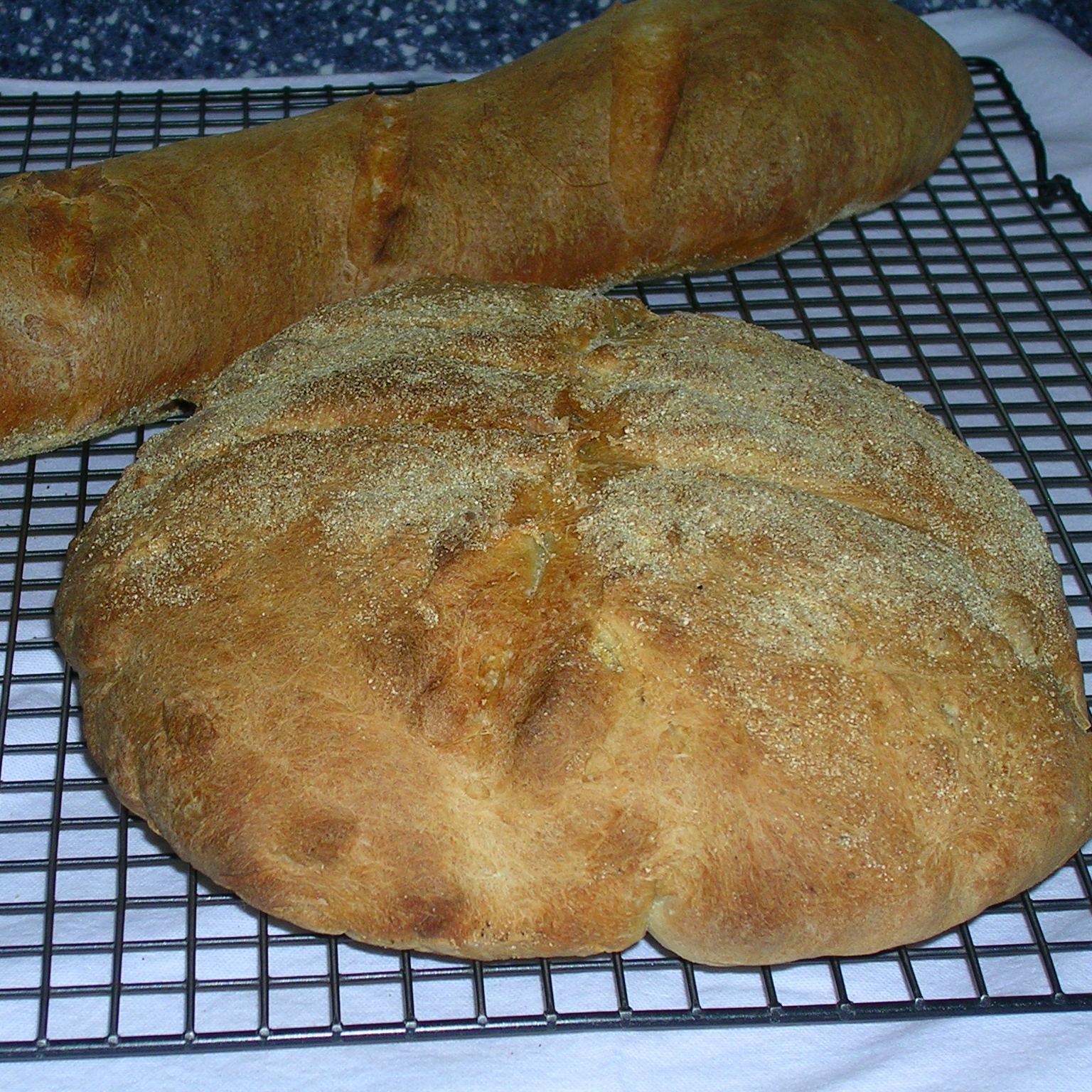 FayCooks's profile picture. Home cook interested in culinary history and contemporary recipes worldwide. Also food policy and healthy living. Garden zone 4a.