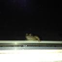 Patrick Ferguson - @yetina28 - Twitter