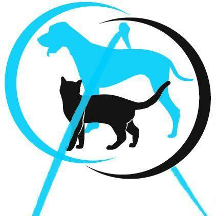 protelaguna's profile picture. Protectora de Animales. Trabajando para que todos tengan un buen hogar.