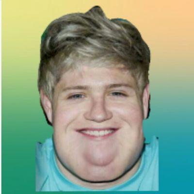 niallissun Profile Picture