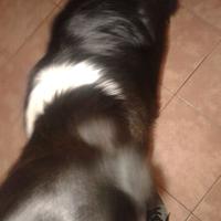 Elnene (@ivanxeneize11) 's Twitter Profile