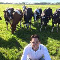 Tijmen van Zessen (@tzessen) 's Twitter Profile Photo