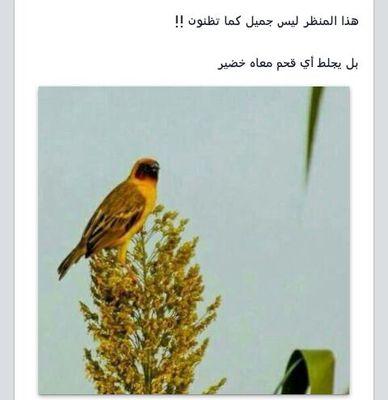 اللهم احسن خاتمتنا