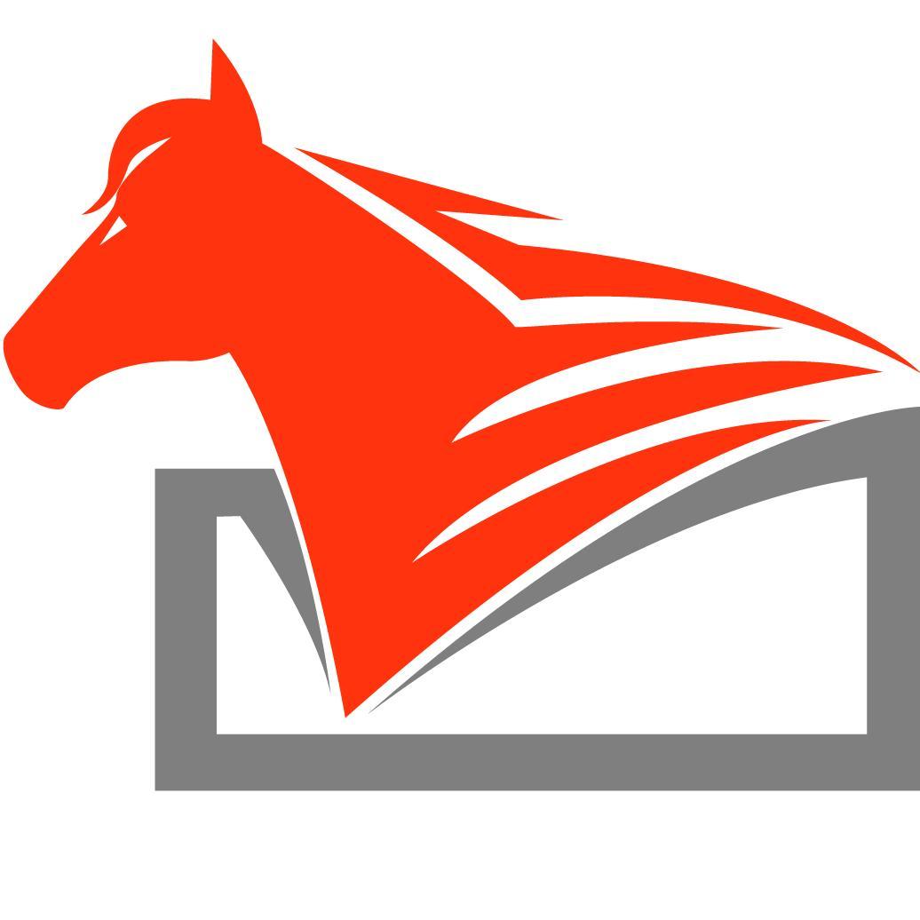 NaturalHorseHea's profile picture. Tierheilpraxis, Physiotherapie, Sattelberatung, Vertrieb von Hidalgo, Deuber und Partner