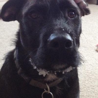 jranders7979's profile picture. 