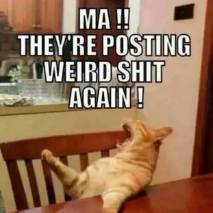 boydsg's profile picture. 