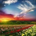 Olga Hidalgo - @hidalgoolga20 - Twitter