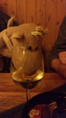 OttoNilpferd's profile picture. Kleines Nilpferd mit der Spritzernase