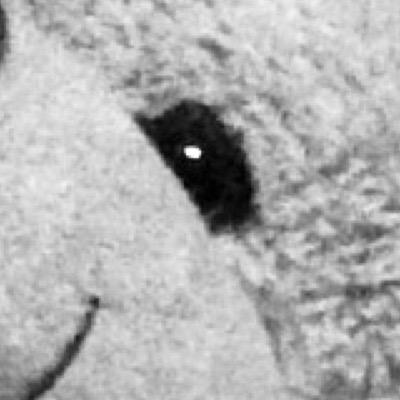 gonzalazz's profile picture. west high