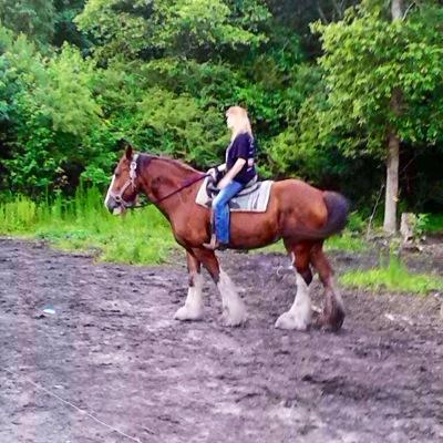 Profile Picture of D (@danawarren5602) on Twitter