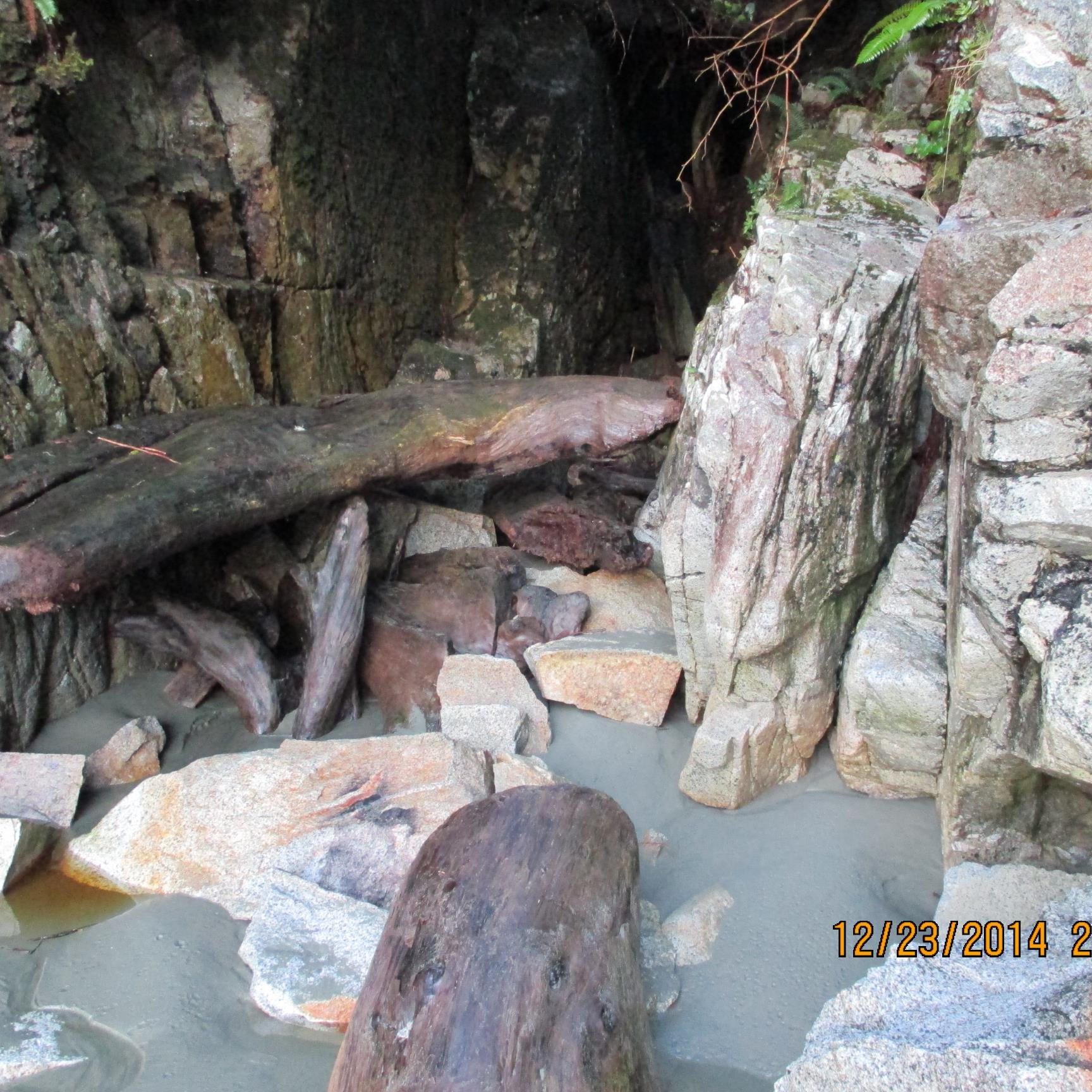 TammyMorran's profile picture. 