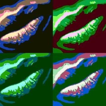 SoulCake_band's profile picture. Expandable band built around the magic number -3. Über cool, and stylish. Completely in the groove.