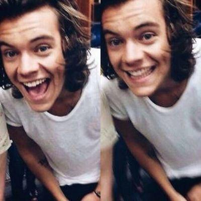 in love with Harry Edward Styles.
