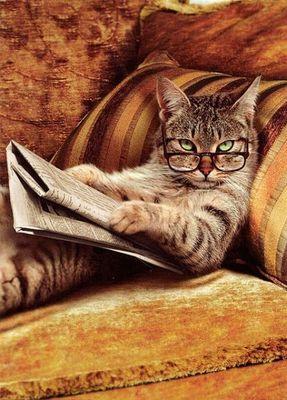 💕🎨Art  💕📚📖  Read   💕🐈🐱cat 💕🗽Democracy    💕🌽 NE    
💕🍀🍀My Irish Roots    💕🎭Drama💻Technology🎶Music