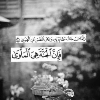 nawar_1415 Profile Picture