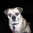 Jody Dunn - @Jody51379 - Twitter