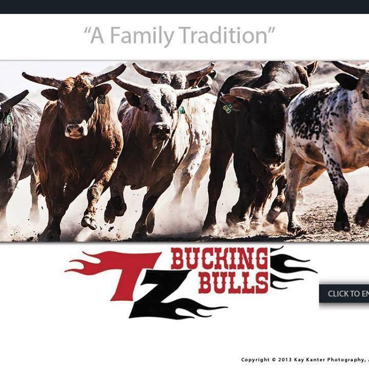 TZBUCKINGBULLS's profile picture. 