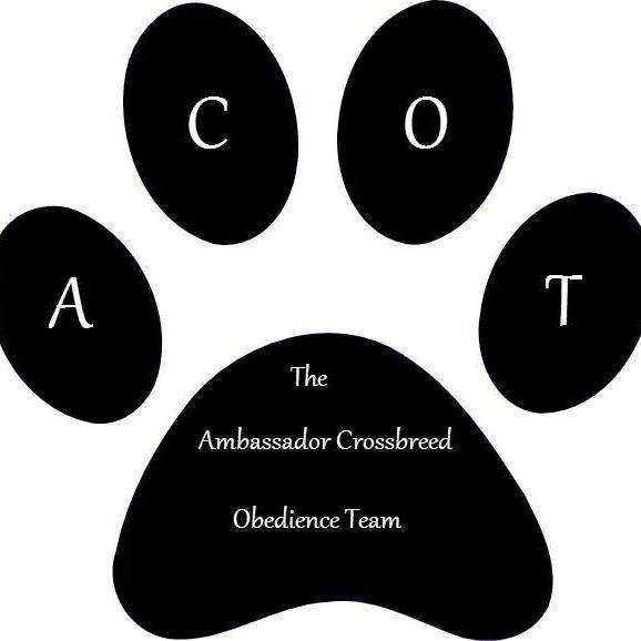 This is an Obedience display team, with Gerri Hickman with Tilly, Karen Woodage with Ruby, Dia Bates with William and Jenny Deakin with Lily. Jess and Logan.
