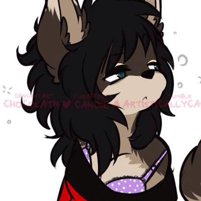 VengefulCanine's profile picture. A sometimes grumpy... mostly lazy girl who happens to be a chocoholic and nicknamed Candy because of that.