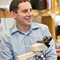 Ophir Klein (@ophirklein) 's Twitter Profile Photo Ophir Klein (@ophirklein) 's Twitter Profile Photo