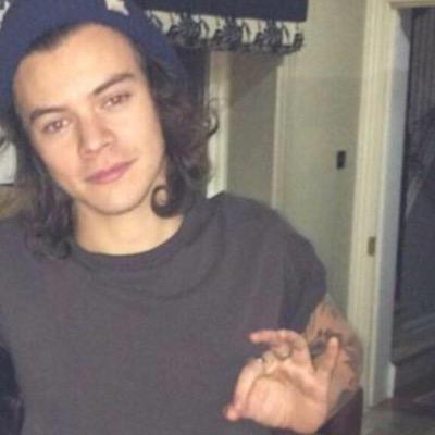 @blameitonharry