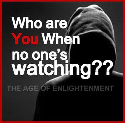 vege8771's profile picture. 