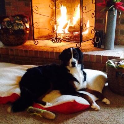 SanduskyJana's profile picture. 