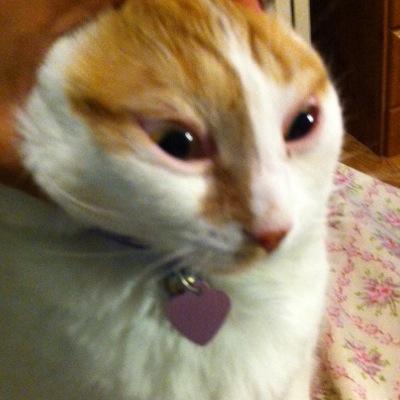 Hey man follow @hasanajaya for a follow right back THNX
