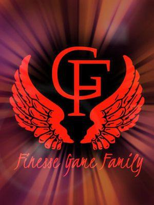We are a team that promotes the best artists, producers, models, photographers & even skaters! Join the movement! contact us finessegamefamily@gmail.com