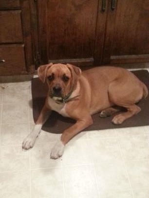 9739450524Sheri's profile picture. 