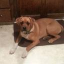 Sheri Monroe - @9739450524Sheri - Twitter