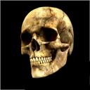 Shawn short - @shawn999999999 - Twitter