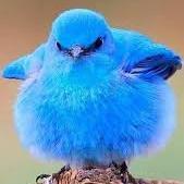 Wanna start gaining BIG? Follow for a follow back. #TeamFollowBack #TeamFollowFirst #TeamFollowMore