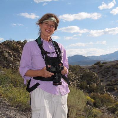 JPanizzera's profile picture. 