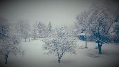 sarah32148's profile picture. i like pie