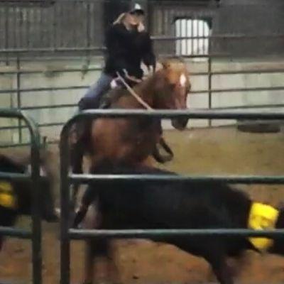 shawTAYgetlow's profile picture. 