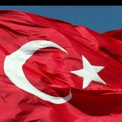 efe974's profile picture. efe