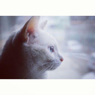 실시간 일기장