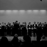 Solistas Ensamble de Bellas Artes (@solistase) 's Twitter Profile